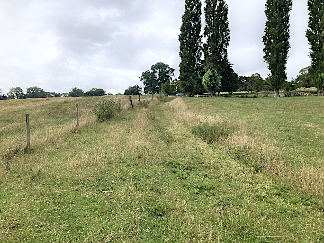 holloway below Aldergate Wood