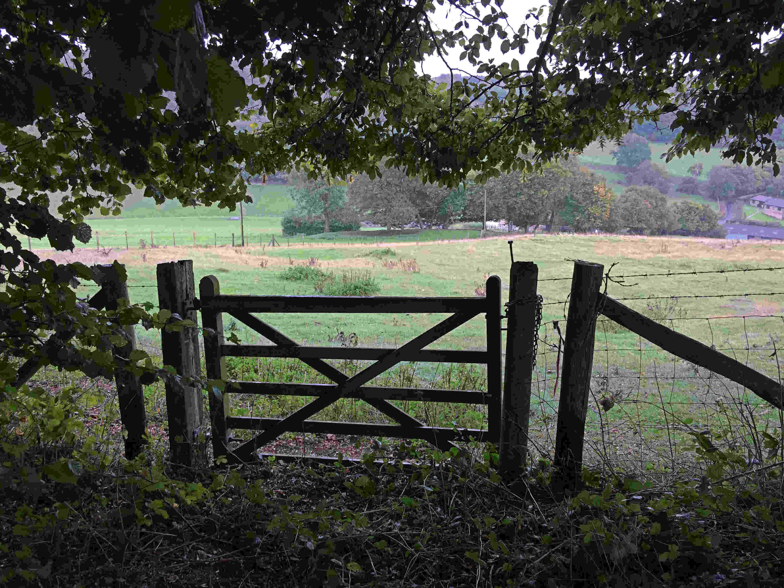 Dane Hill above Dane Farm