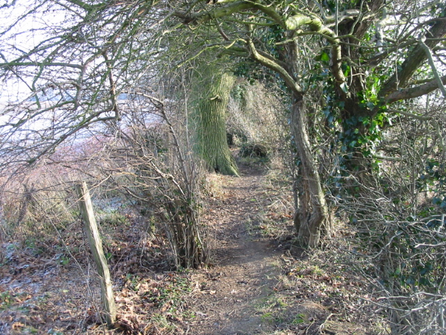 Kelk Hill way