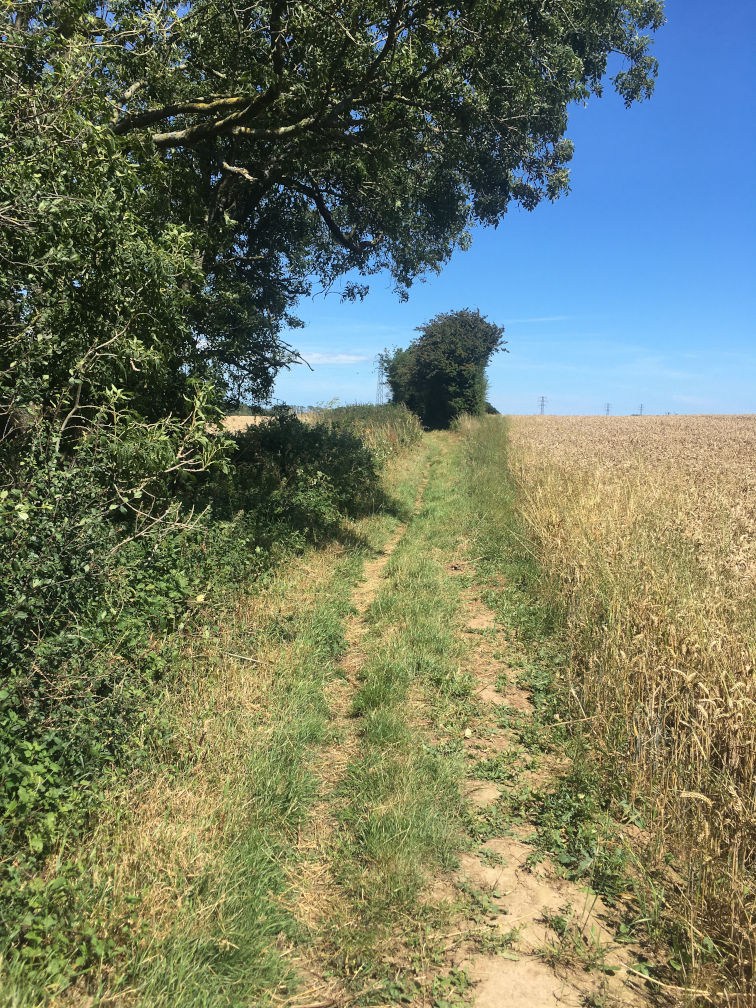 Back Lane