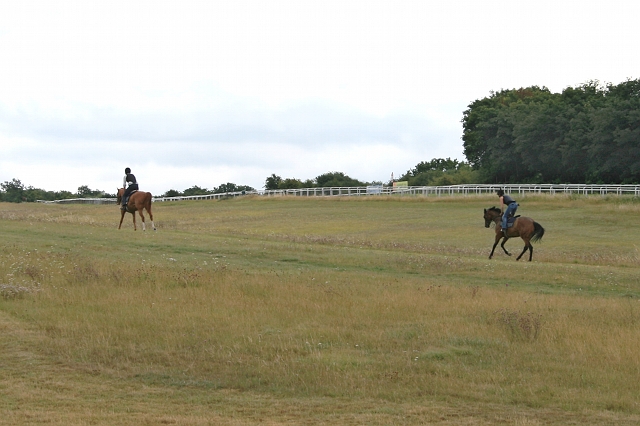 Middle Hill Gallop